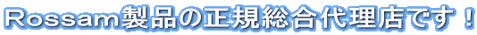 qi̐K㗝XłI
